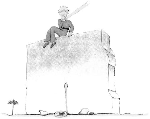 《小王子》插图