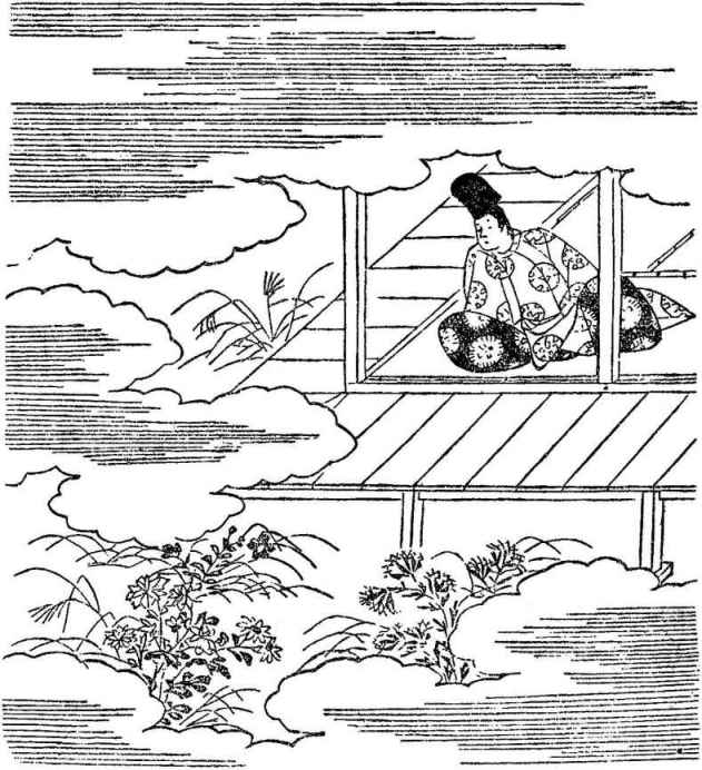 插图
